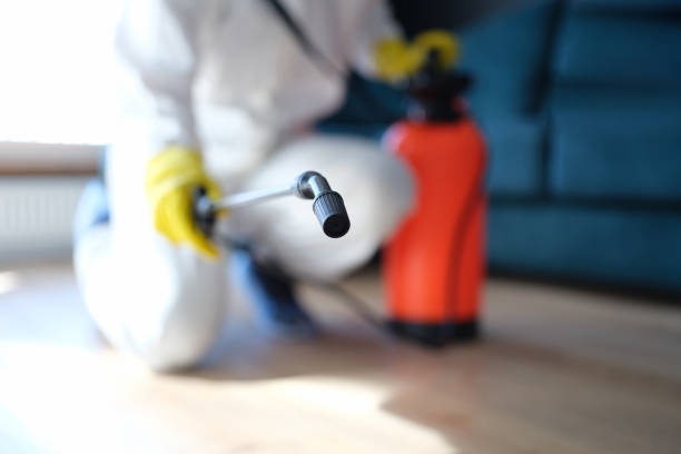 Best Industrial Mold Remediation  in Reedley, CA